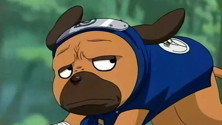 C'est quoi le nom de ce chien ?