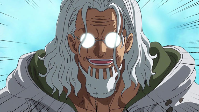 8. Silvers Rayleigh est considéré comme le bras droit du Seigneur des Pirates.