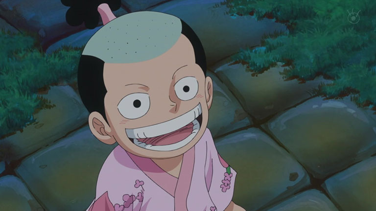 8. Momonosuke : Il est l'héritier du royaume de Wano et le chef des Kozuki.