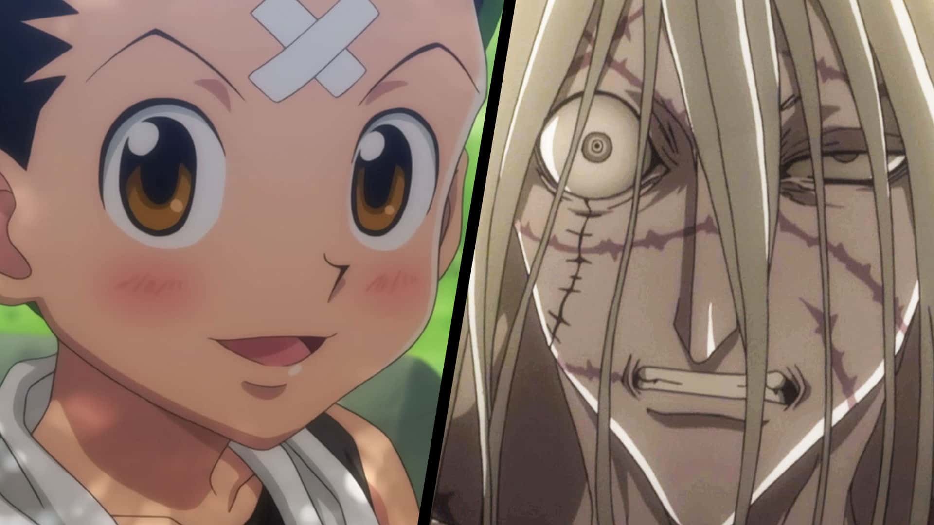 10 souhaits que Gon ferait avec les Dragon Balls