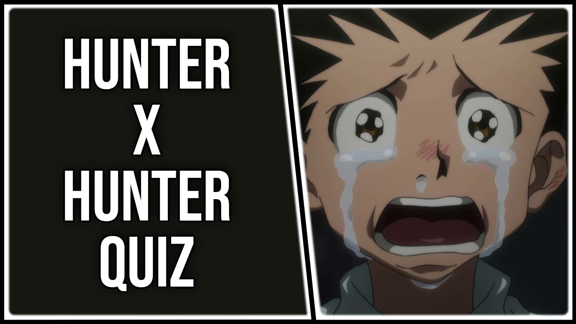 Hunter x Hunter Quiz : seul un vrai fan de HXH peut avoir au moins 80% à ce quiz