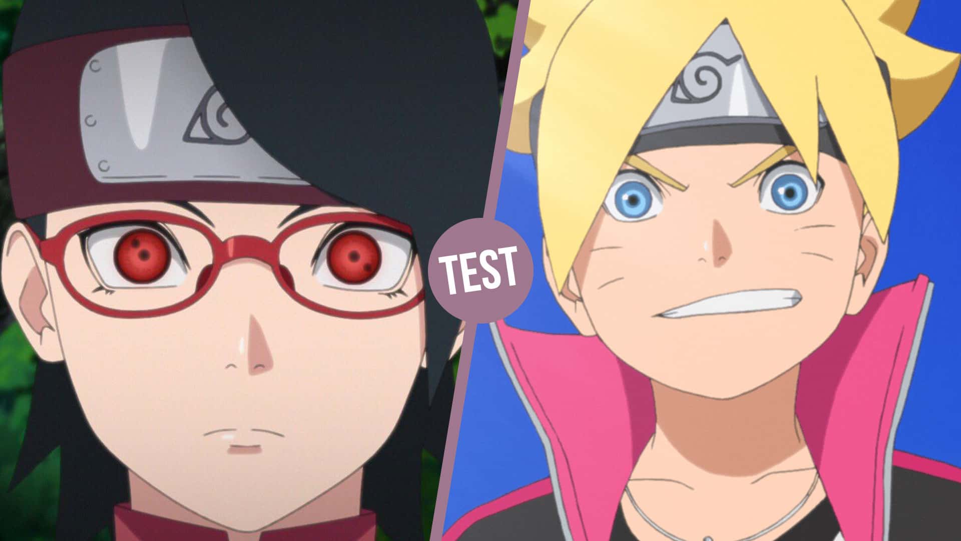 Qui Es Tu Dans Boruto