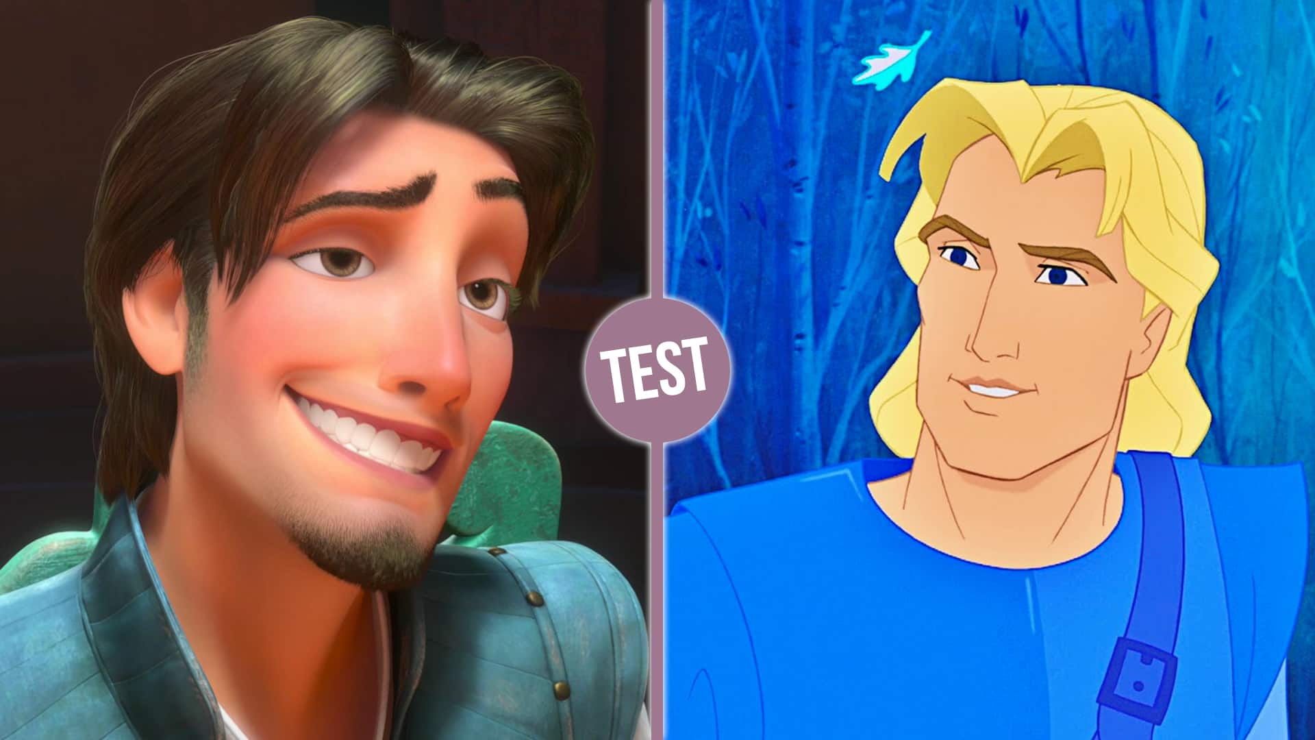 Quel Prince Disney Es Tu Quel prince Disney serait ton future mari ? | OtakuFR