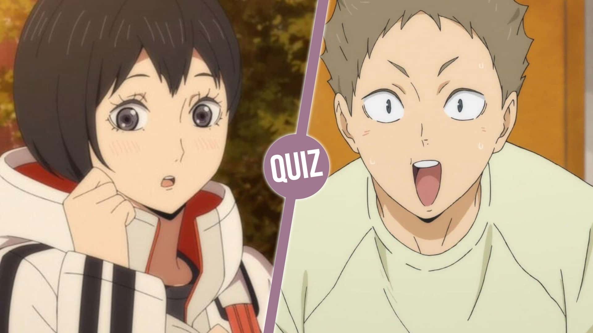 Haikyuu Quiz : pouvez-vous nommer ces 10 personnages secondaires de Haikyuu ?