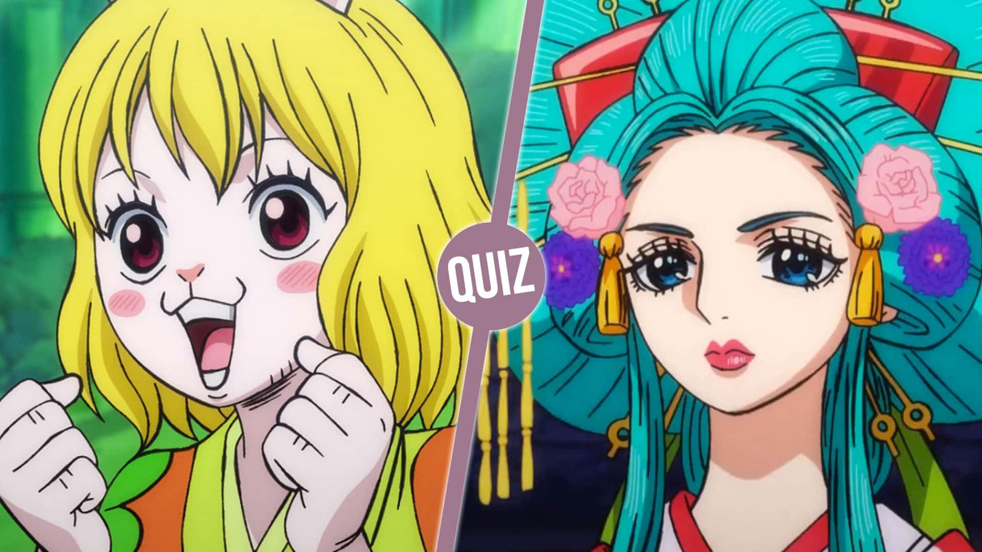 One Piece Quiz : impossible d’avoir 25/25 sur ce quiz One Piece