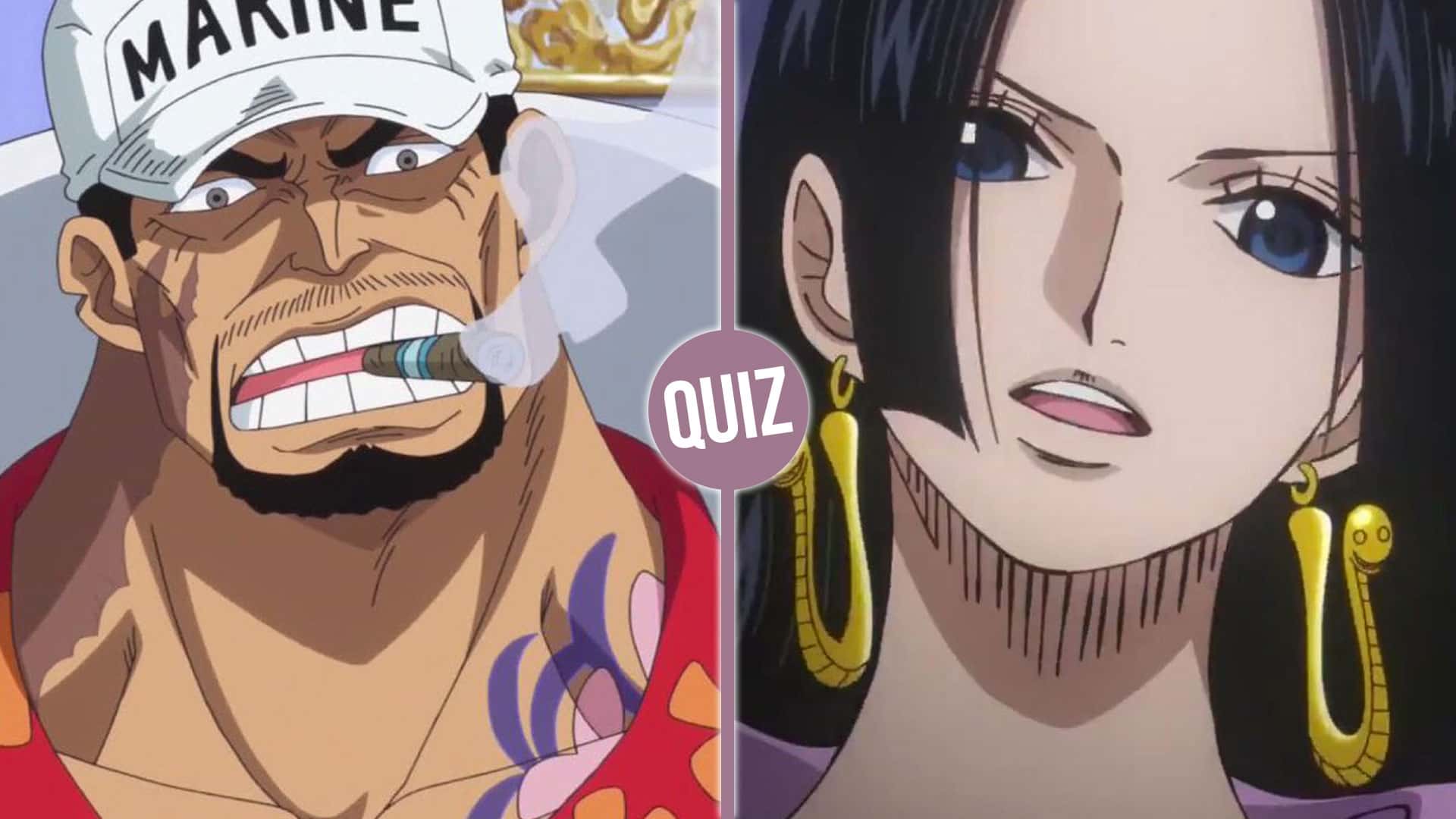 Le Quiz One Piece le plus difficile que vous n'ayez jamais fait.