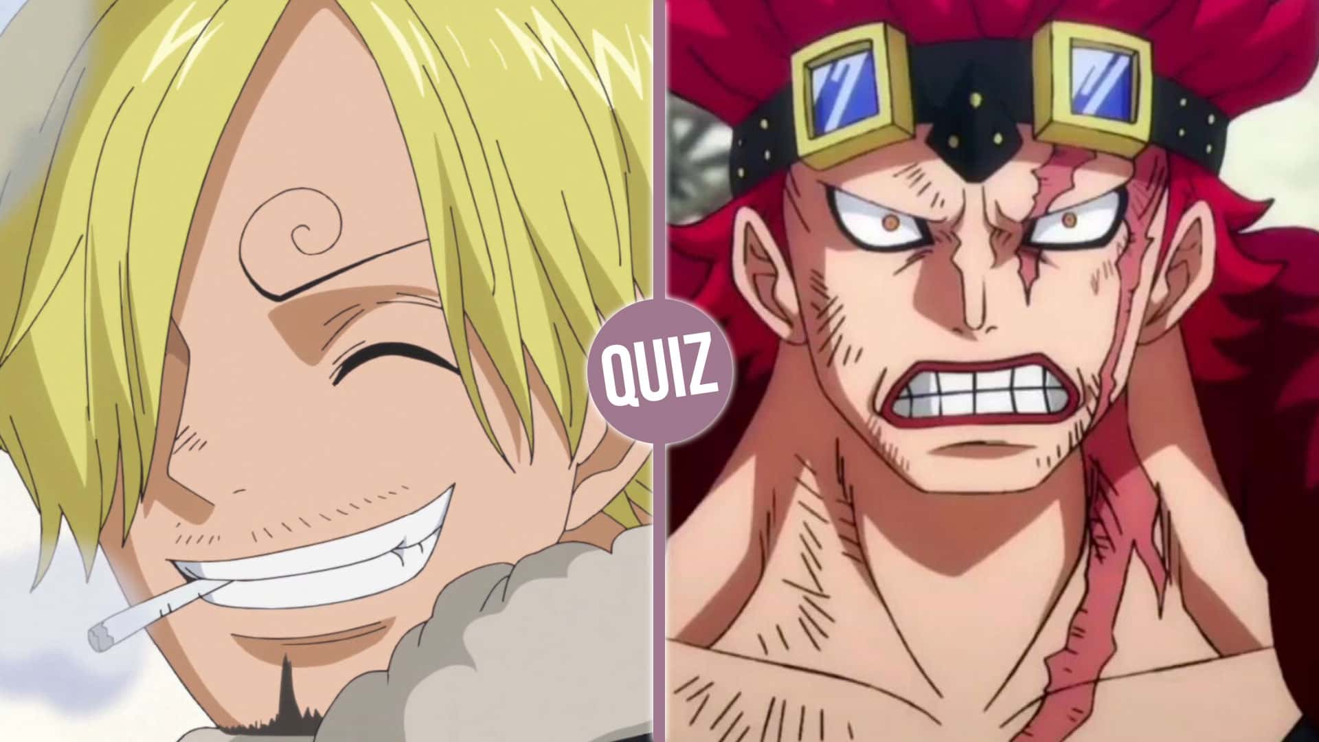 Quiz One Piece : êtes-vous un vrai fan de One Piece ?