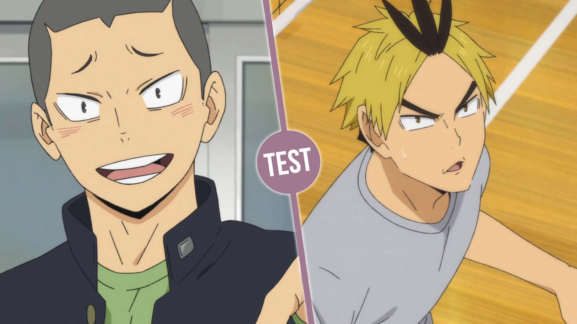 Quel Personnage De Haikyuu Es Tu Test de personnalité : quel personnage de Haikyuu est votre âme soeur ? |  OtakuFR