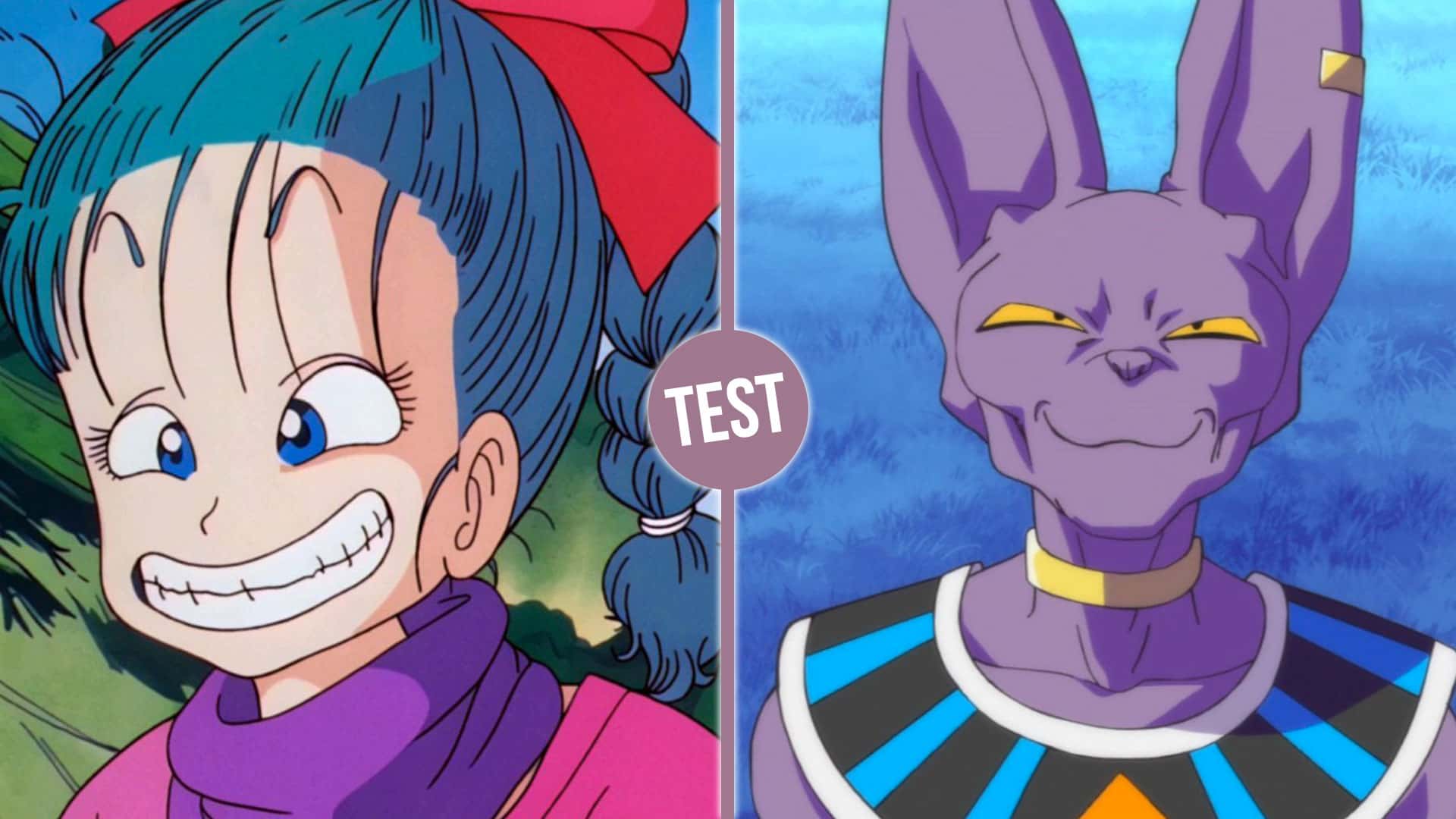 Répondez à ce quiz Dragon Ball et nous vous révélerons à quelle race vous appartenez.