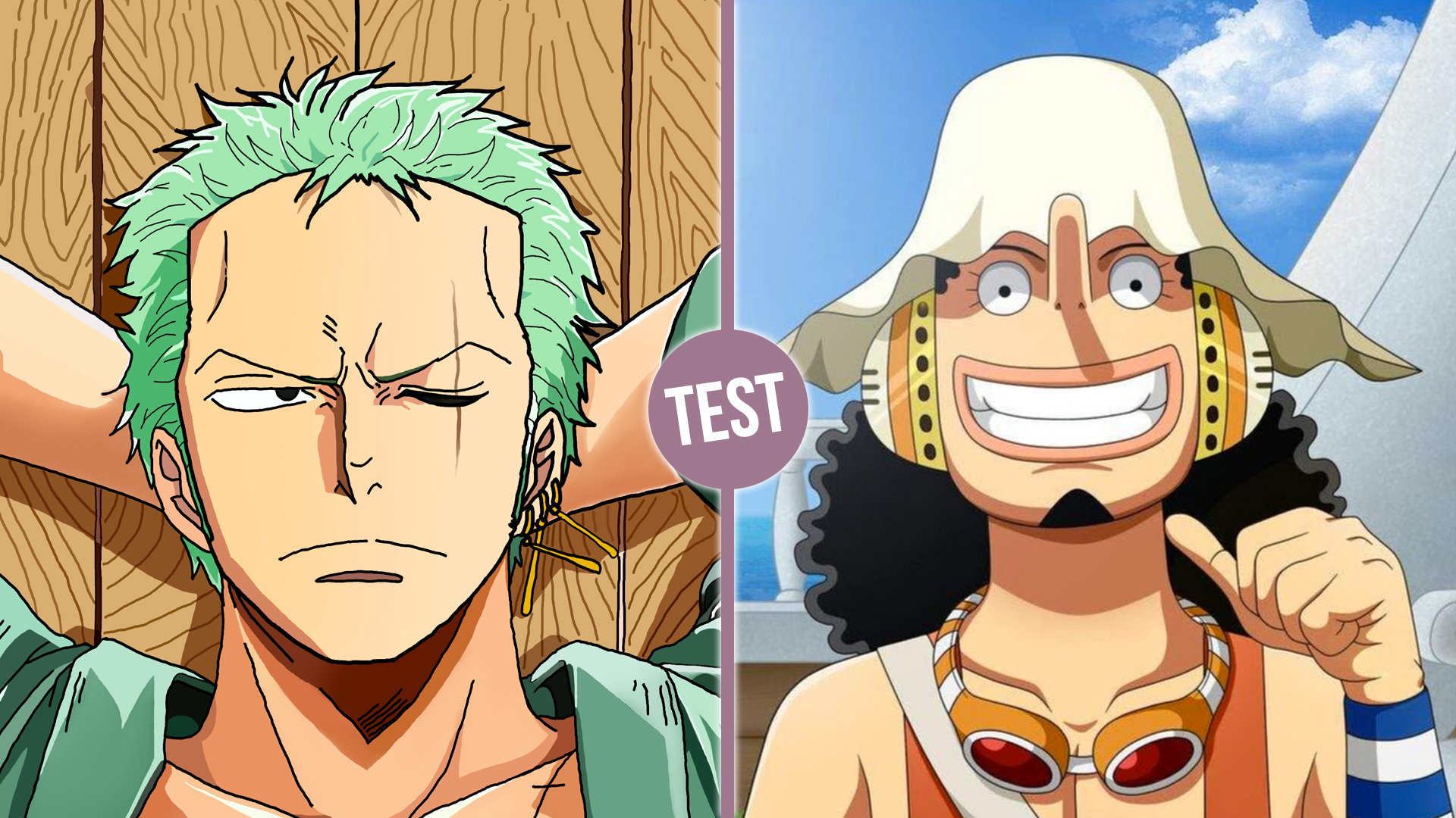 En quel personnage principal de One Piece vas-tu te réincarner ?