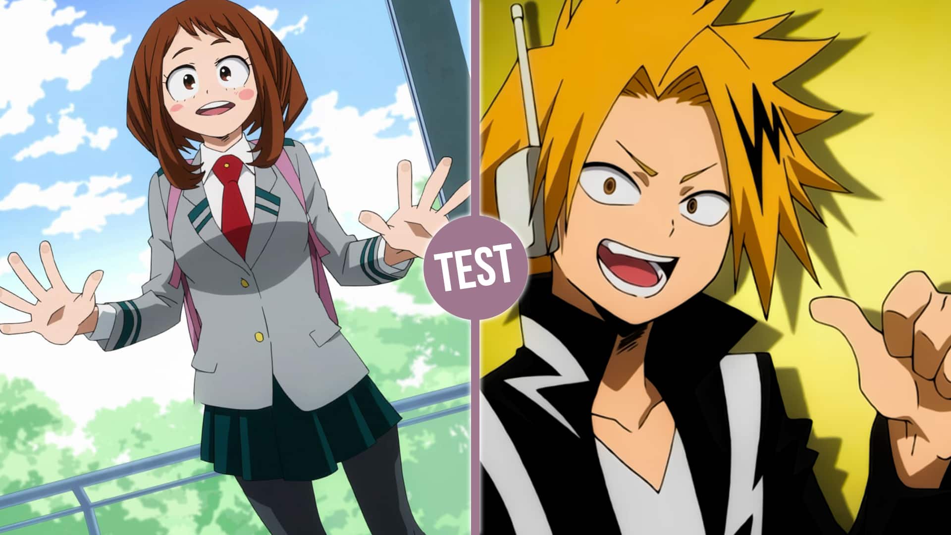 Quel personnage de My Hero Academia à un crush sur toi ?