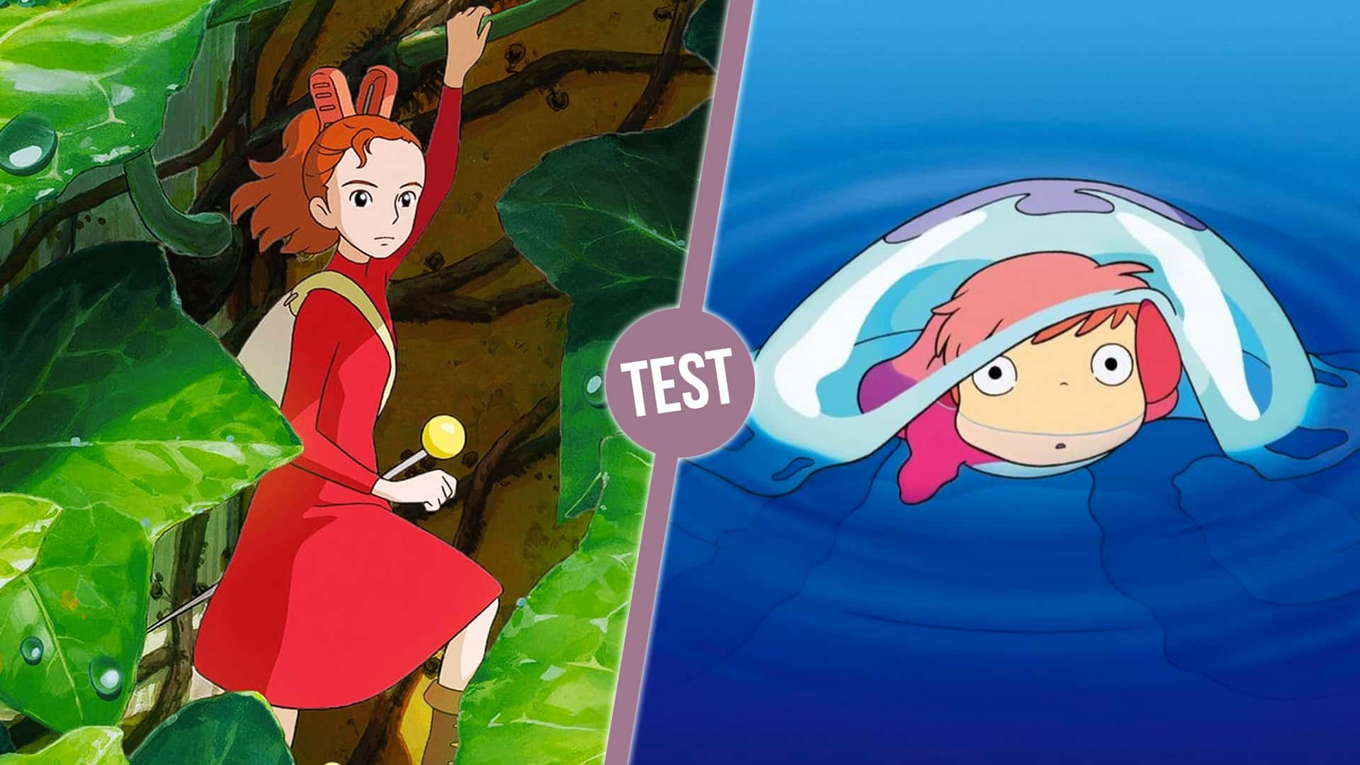 Quel film du Studio Ghibli devriez-vous regarder ce soir ?