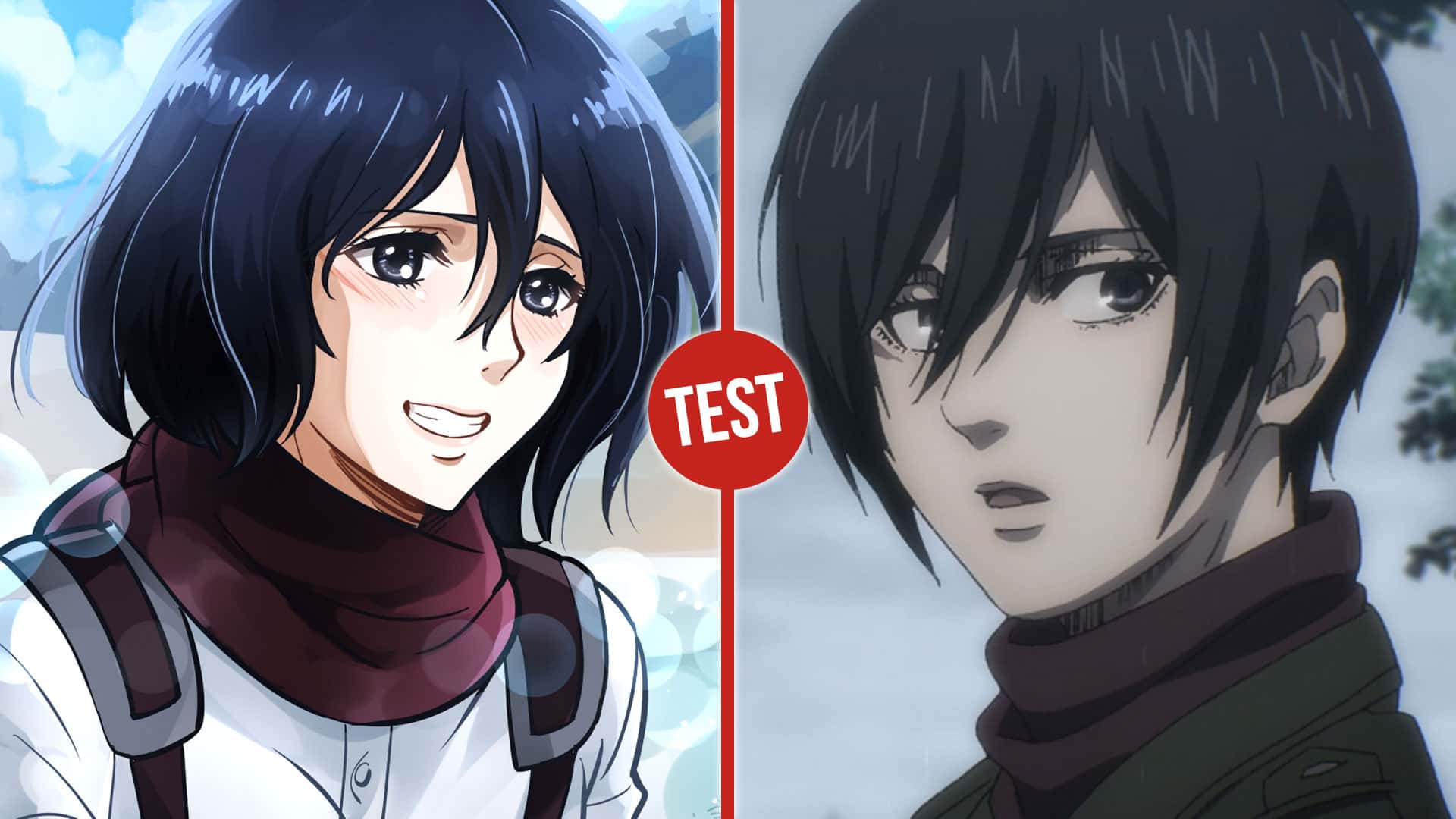 À quel point ressembles-tu à Mikasa Ackerman ?