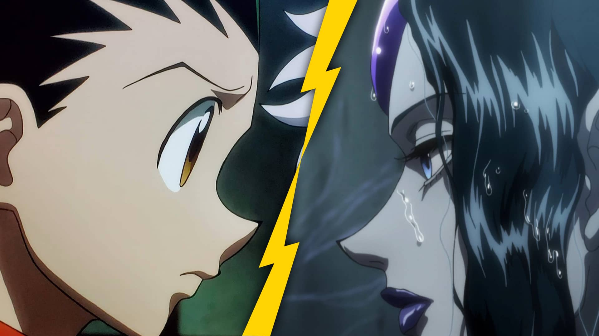 Qui Es Tu Dans Hunter X Hunter De quel personnage de Hunter x Hunter es-tu amoureux(se) ? | OtakuFR