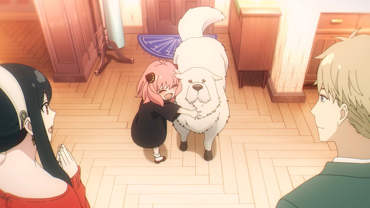 Saison 2 Spy X Family Date Spy x Family Saison 2 et un film d'animation annoncés ! | Anikawa
