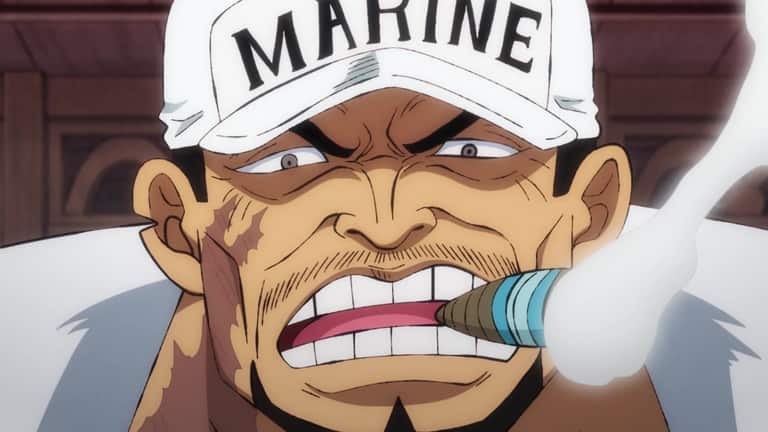 one-piece-akainu.jpg