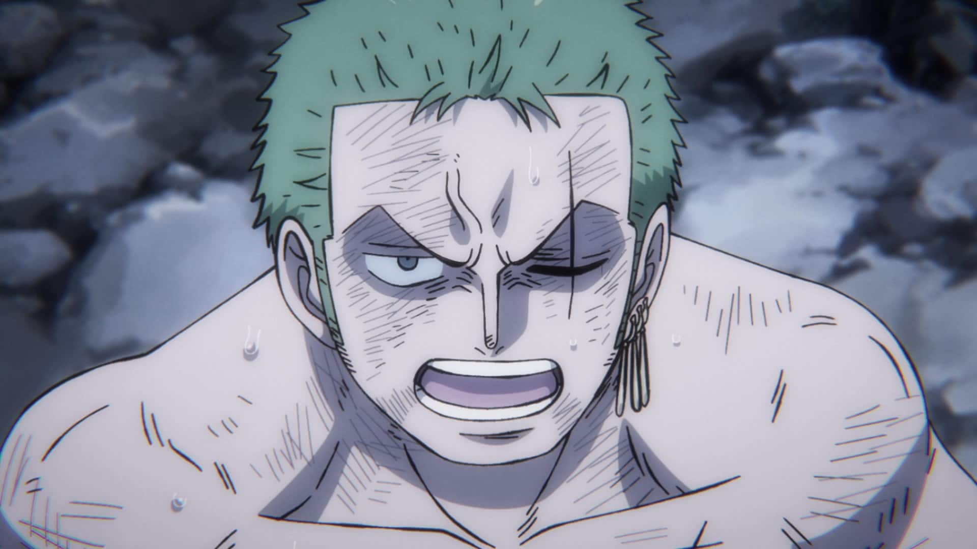 Zoro One Piece Mort One Piece épisode 1065 : Zoro fait face à la mort alors que le médicament des Minks expire | Anikawa